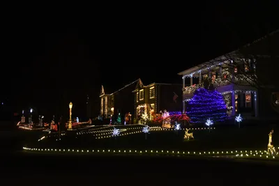 DSC_6729 (Large).JPG